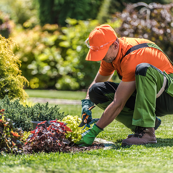 no-borders-relocation-02